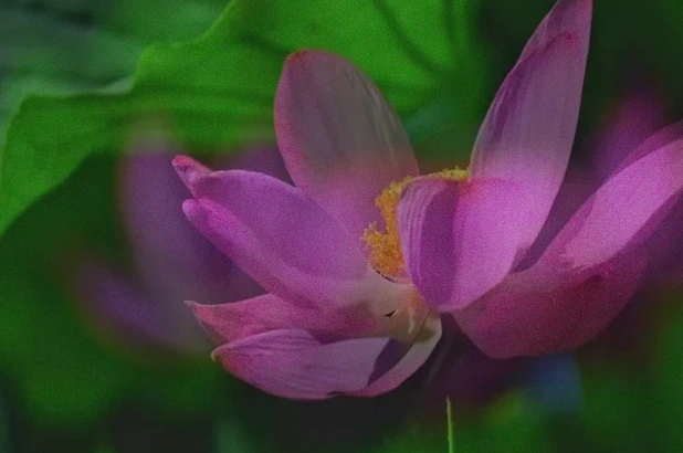 30条自我提升励志语录：解锁成长潜能，奔赴优秀人生